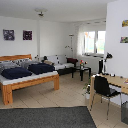 Ferienwohnung Rheingeschaut Bad Bellingen Ngoại thất bức ảnh